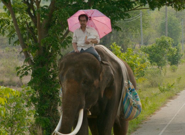 『ポップ・アイ』: タイに魅了され、“野良ゾウ”にインスピレーションを得たカーステン・タンが描く、かつてない摩訶不思議なロードムービー！