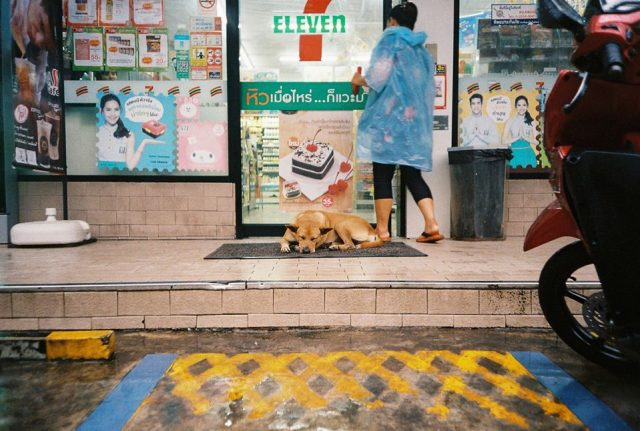 タイに５年間滞在した日本人写真家／映像作家・小川遼による、現地の日常風景をテーマとした展示が名古屋３会場で巡回開催。