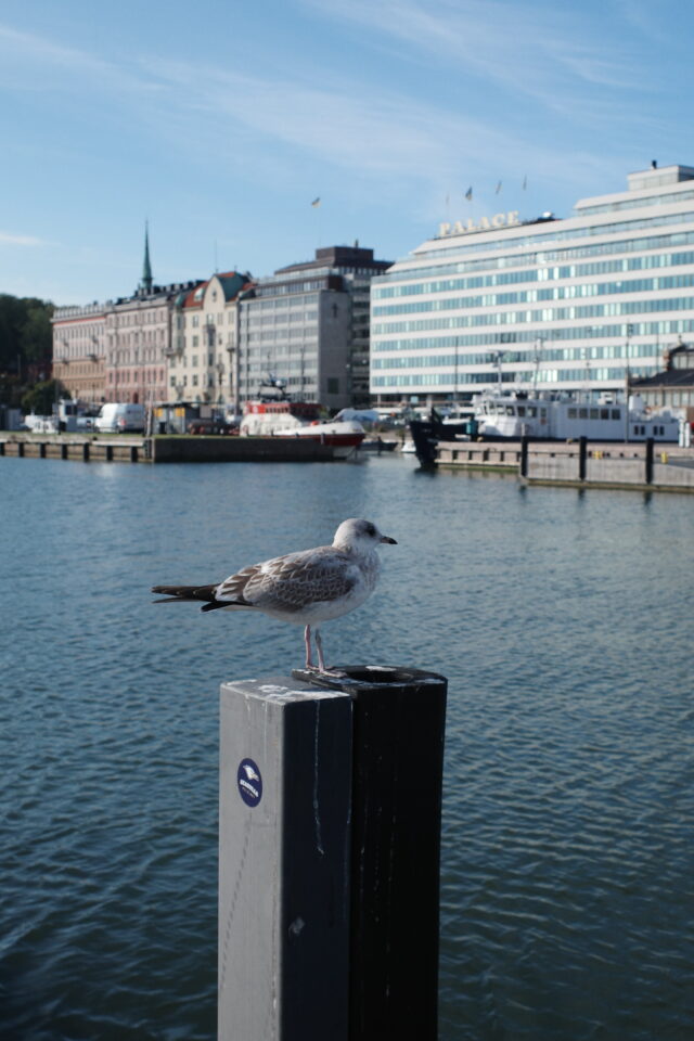 仕事を辞めずにバックパッカー。名古屋在住アラサーOL海外一人旅日記 ヨーロッパ編7　フィンランド・ヘルシンキのアパートにまったり滞在。映画『かもめ食堂』のロケ地巡り、ランドリーがコンセプトのバーで洗濯、胃の不調で暮らすように寝込む。